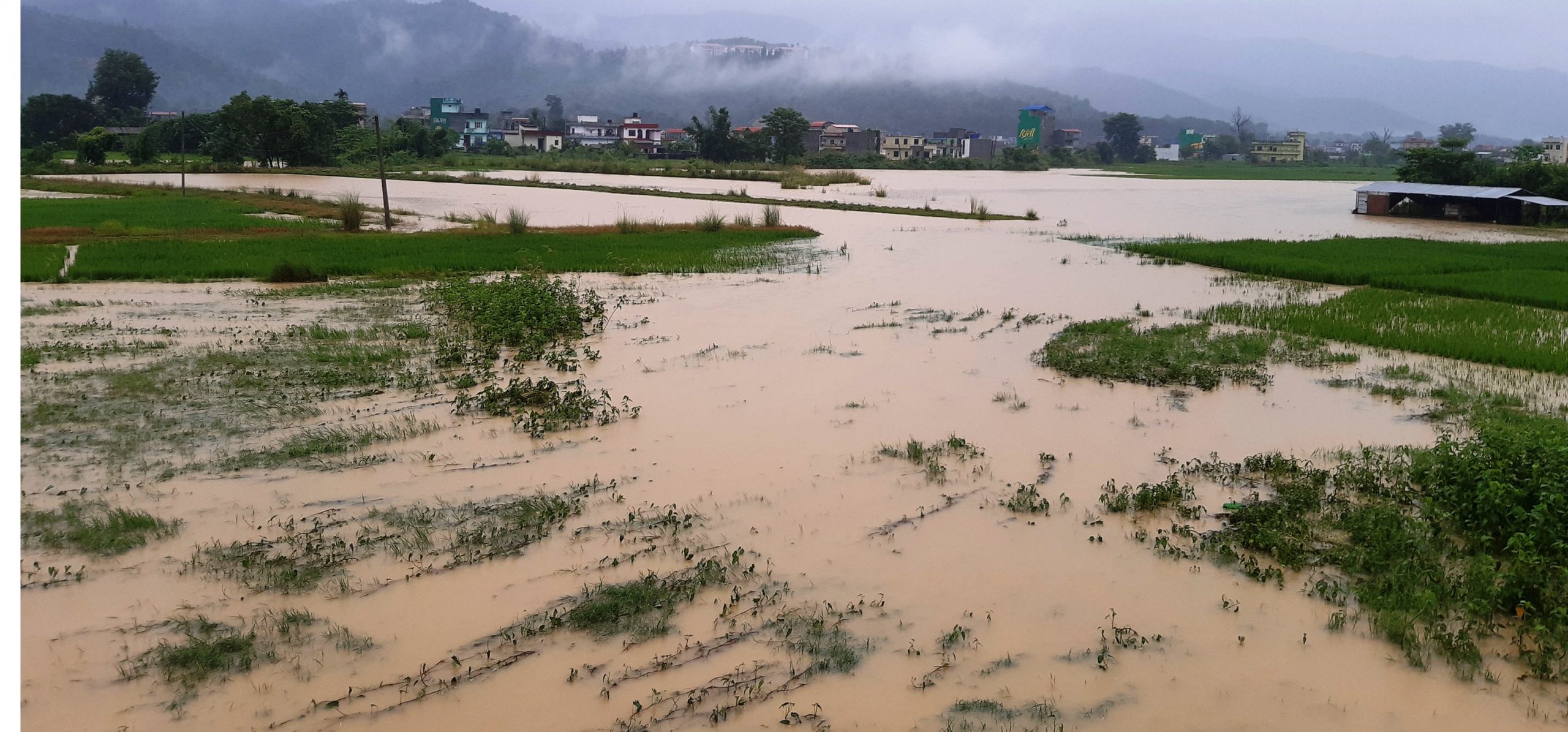 वर्षाले रुपन्देहीका विभिन्न क्षेत्र डुबानमा, देवदहमा पुल भासियो