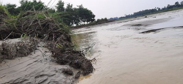 कटान र क्षति रोक्न बर्सेनि टालटुले काम, हजाराैं बिघा बाढीले‍ बगाउँछ