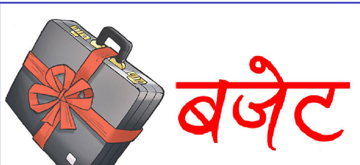 बजेटको ढाँचा फेर्ने सरकारको तयारी, कस्ता स्वरुप परिवर्तन हुँदैछन् ?