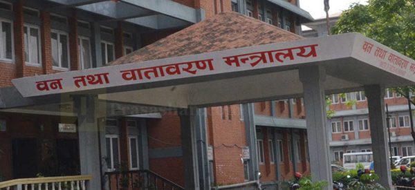 हिमालमा परेको असरबारे आजदेखि काठमाडौंमा ‘अन्तर्राष्ट्रिय संवाद’, २५ देशका विशेषज्ञ सहभागी