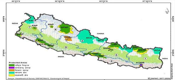 थपिँदै छन् नयाँ निकुञ्ज