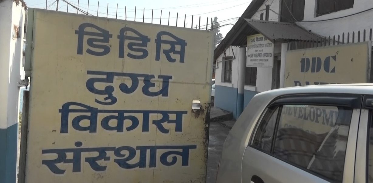 किसान बचाउने बहानामा दूधको मूल्य लिटरमै १४ रुपैयाँसम्म वृद्धि, उपभोक्ताको विरोध