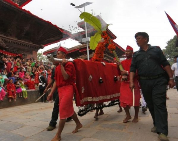 हनुमानढोकामा भित्र्याइयो फूलपाती