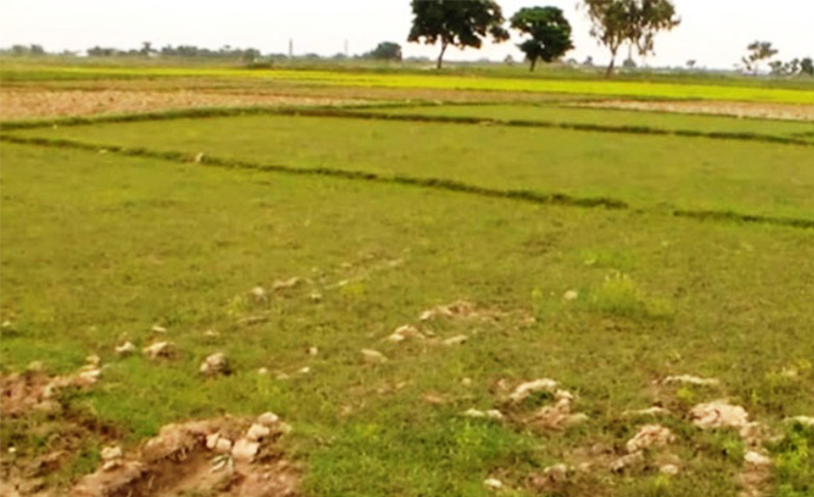 माघबाट ठूलो संख्यामा चितवनका भूमिहीनले जग्गा पाउँदै
