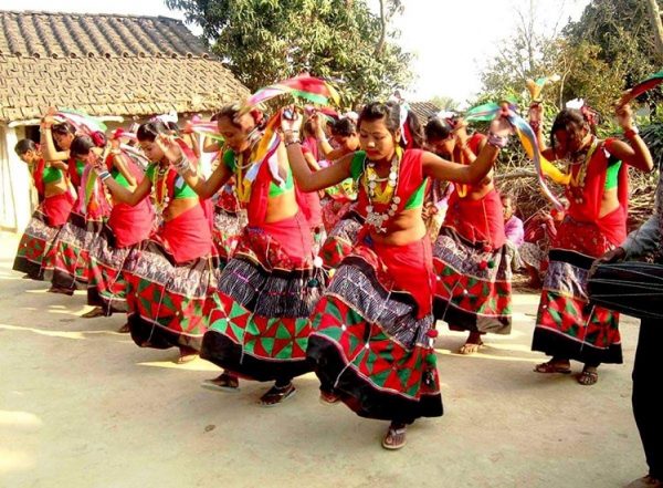 थारु बस्तीमा सखिया नाचको रौनक