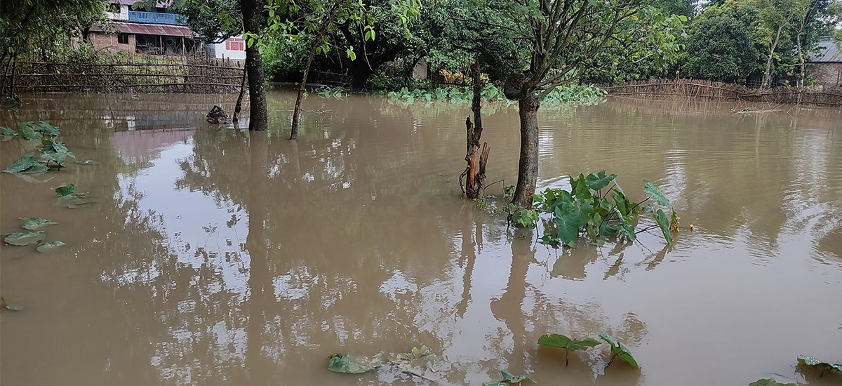 भारी वर्षा हुँदा सप्तरीमा २५ घर डुबे, चार घरमा क्षति