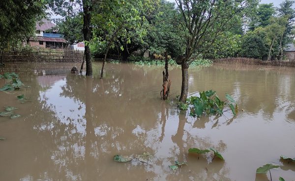 सुदूरपश्चिममा घट्यो, पूर्वी भेगमा भारी वर्षा