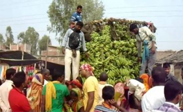 छठका लागि जनकपुरमा मात्रै पौने २ करोडको केरा आयात