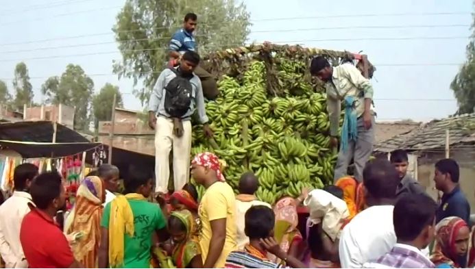 छठका लागि जनकपुरमा मात्रै पौने २ करोडको केरा आयात