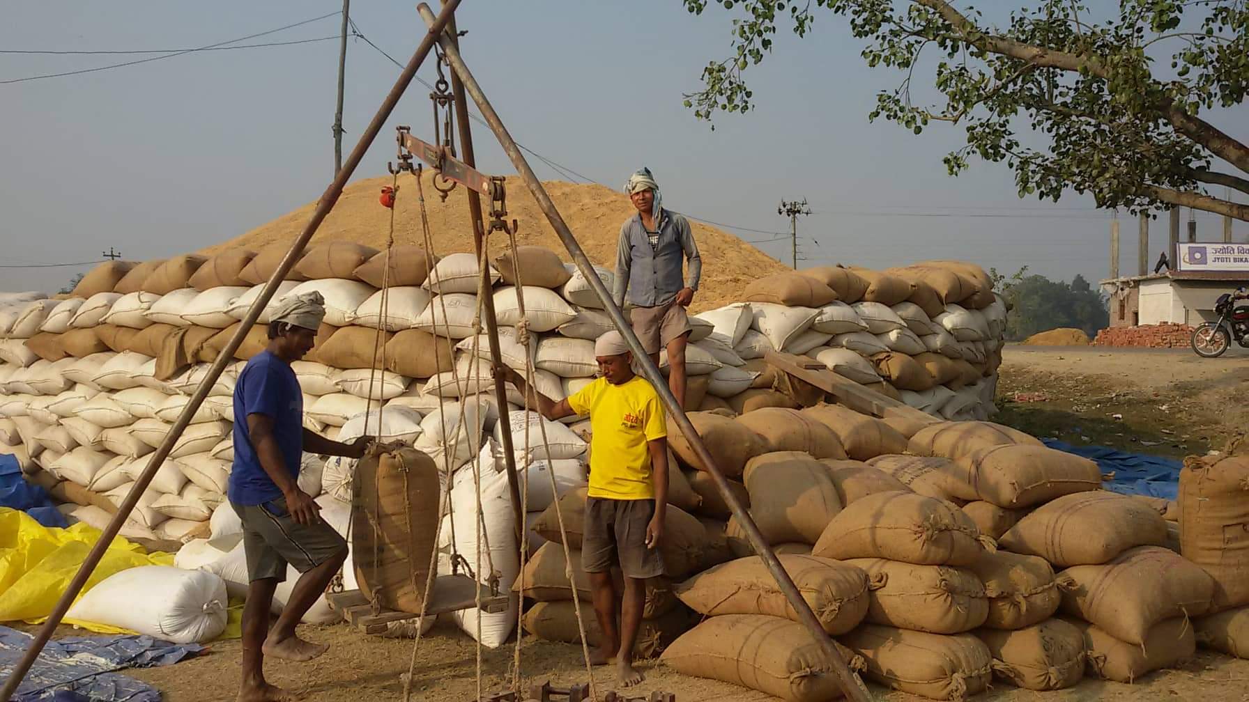 कैलालीमा धान खरिदमा ढिलाइ, सस्तोमा बिक्री गर्न बाध्य