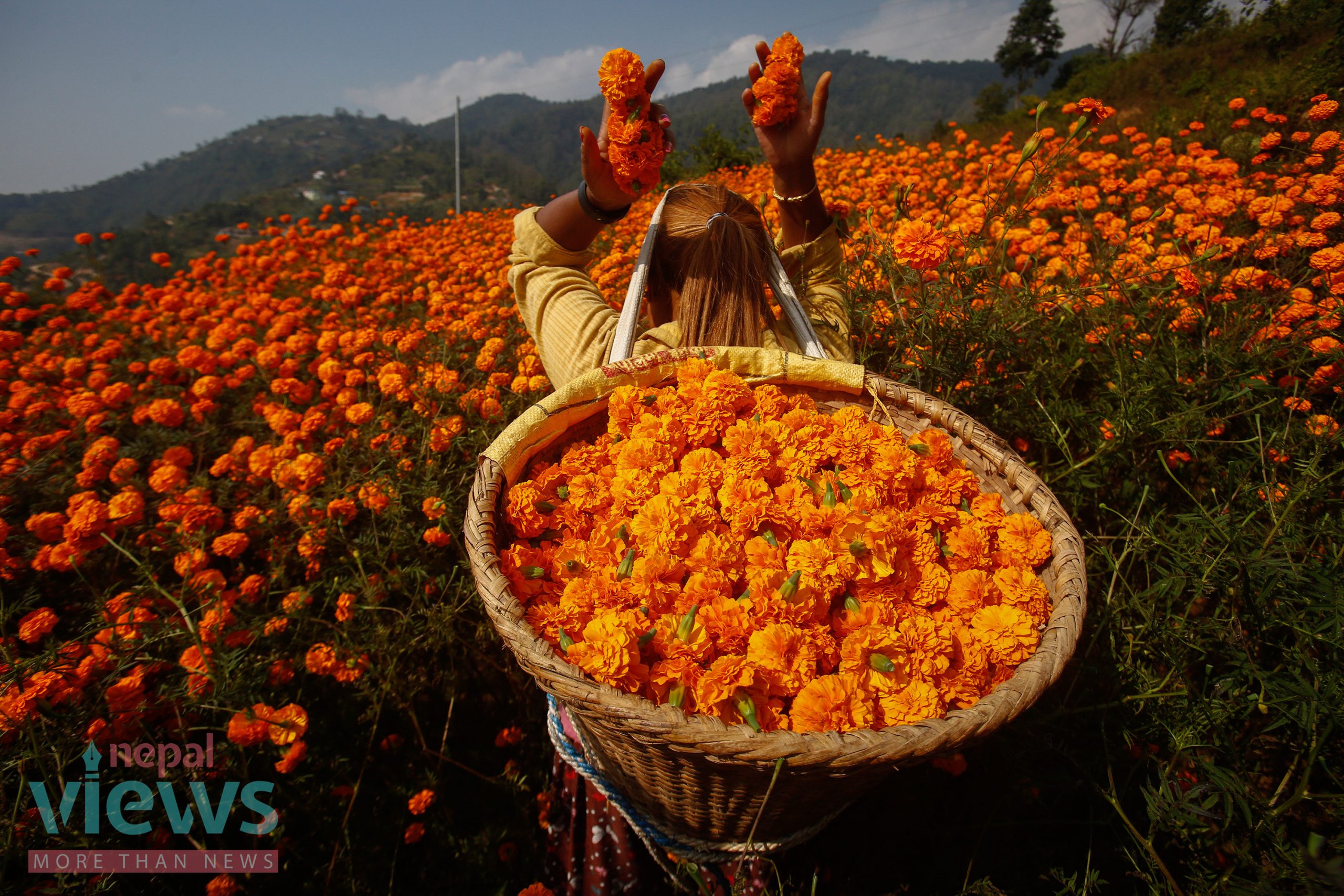 तिहारका लागि फूल र मालाको मूल्य निर्धारण