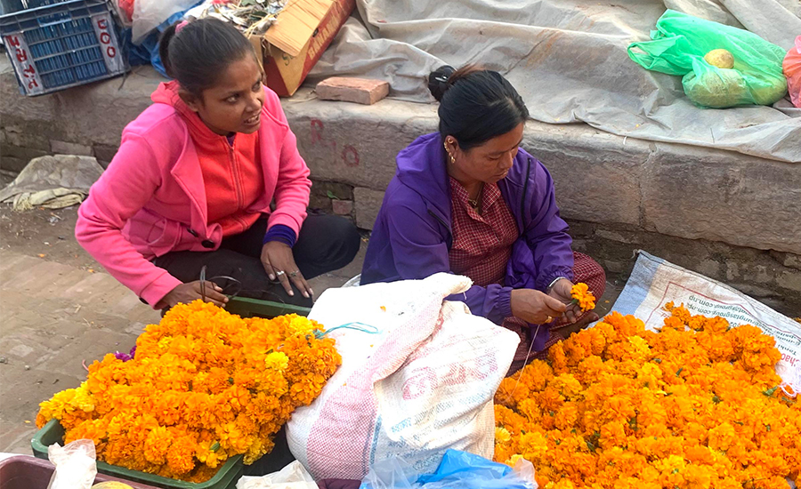 भारतीय फूलले नेपाली बजार कब्जा, उचित मूल्य पाएनन् किसानले