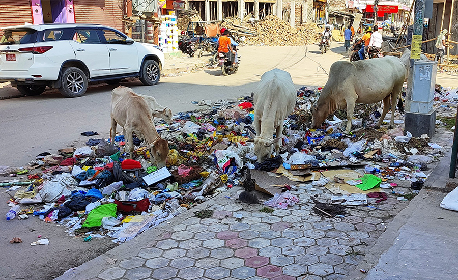 मेयरको राजीनामा माग्दै जनप्रतिनिधिहरू काठमाडौंमा, फोहोर नउठ्दा जनकपुर दुर्गन्धित