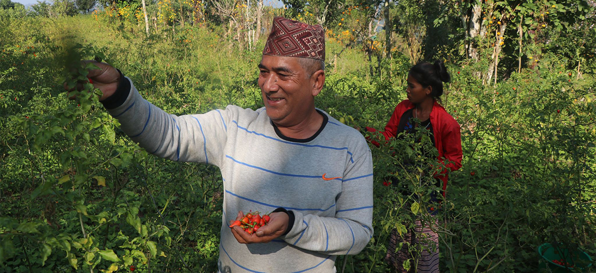 जो आफू ऋणमा डुबेर रोजगारी दिइरहेका छन्