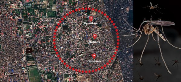 काठमाडौंको मैतीदेवी-घट्टेकुलो क्षेत्रमा फैलिरहेछ डेंगु