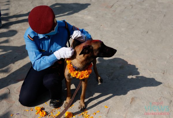 यमपञ्चकको तेस्रो दिन : नरक चतुर्दशी र कुकुर तिहार