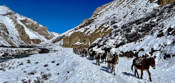 डोल्पाका पाँच मतदान केन्द्रमा एक सयभन्दा कम मतदाता