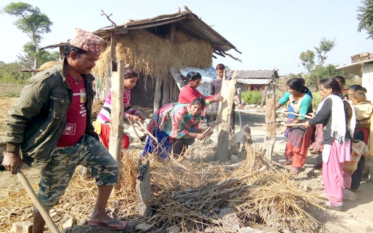 छाउगोठ भत्काएपछि भैंसीगोठमा बस्न थाले महिला