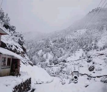 ताप्लेजुङको उच्च हिमाली क्षेत्रमा हिमपात हुँदा किसान खुसी