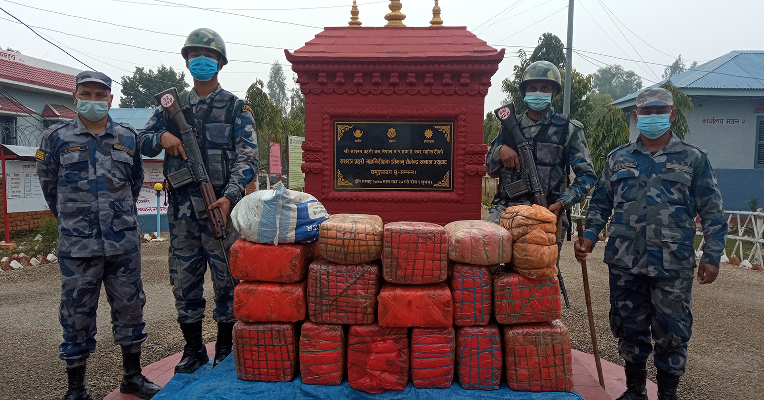 महोत्तरीमा कुखुरा फर्मबाट गाजा बरामद