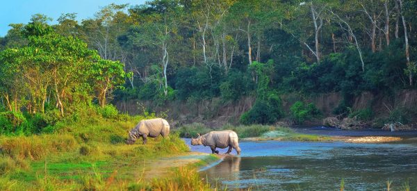 कोशी टप्पु पठाइए पुष्पा र अञ्जली