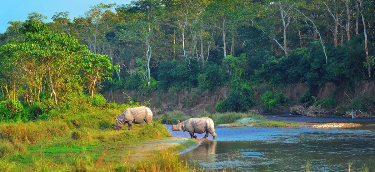 कोशी टप्पु पठाइए पुष्पा र अञ्जली