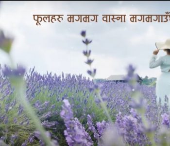 मेलिनाको ‘फूलहरू मगमग’ गीतमा सृजनको अभिनय (भिडिओ)