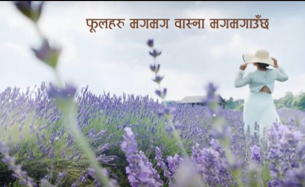 मेलिनाको ‘फूलहरू मगमग’ गीतमा सृजनको अभिनय (भिडिओ)