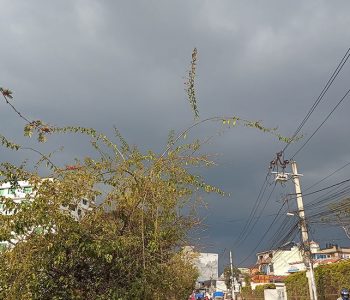 पश्चिमी वायु सक्रिय, सोमबारसम्म देशैभर पानी र असिनाको सम्भावना