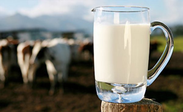 डीडीसीले भोलिदेखि बढायो दूधको भाउ, प्रतिलिटर ९ रूपैयाँ वृद्धि