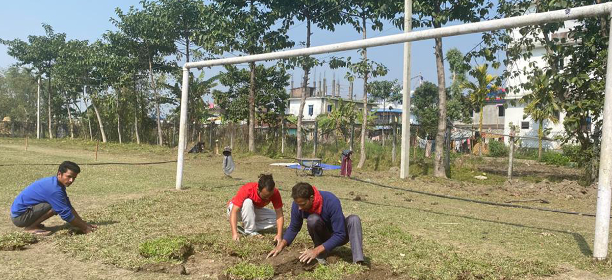 झापा गोल्डकपका लागि खेल मैदान स्तरोन्नती शुरू