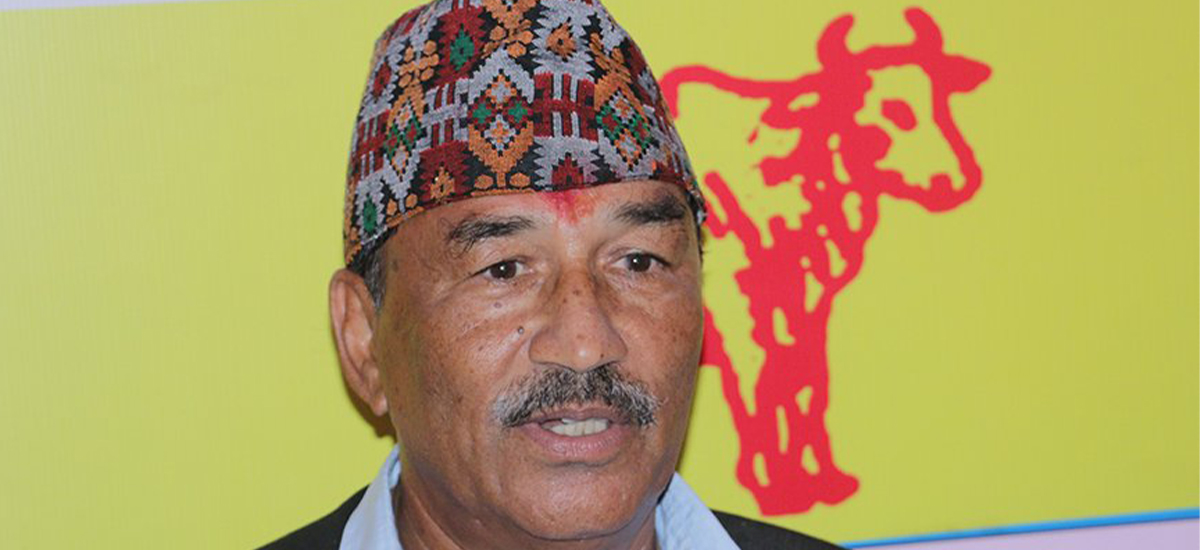 ज्ञानेन्द्रको प्रतिरक्षामा उत्रिए कमल थापा, पक्राउ परेकालाई रिहा गर्न माग