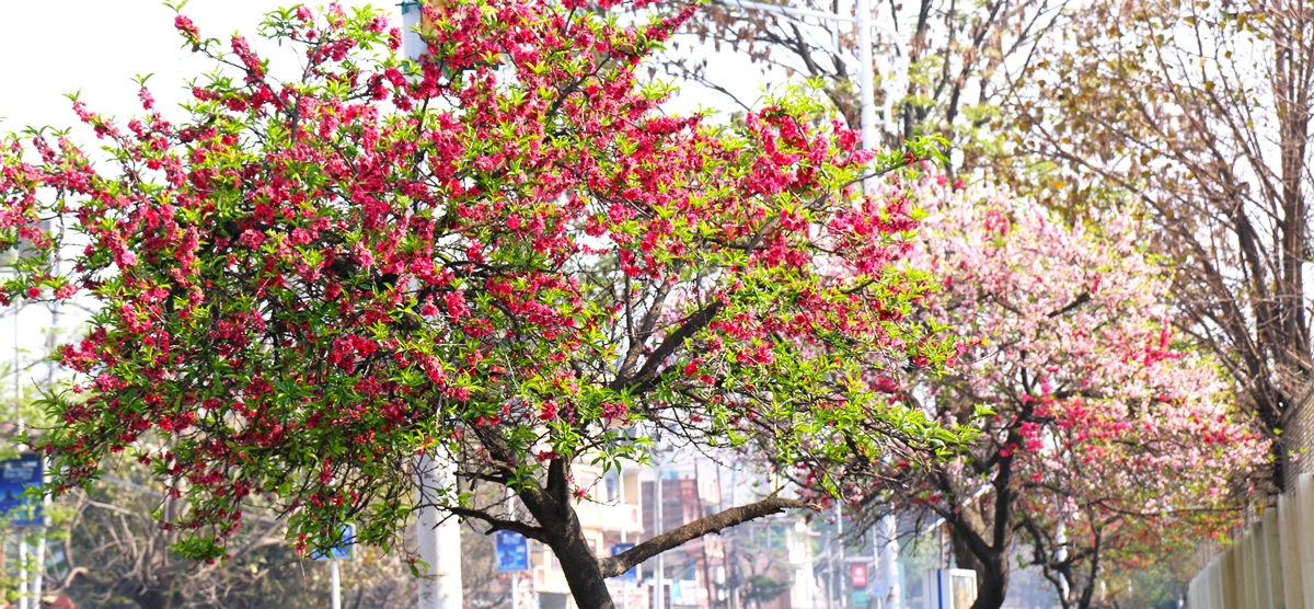 वसन्त कहिल्यै अलग भएर आउँदैन