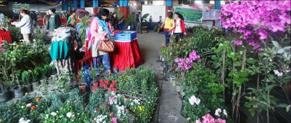 ‘फ्लोरा एक्पो’ १० चैतदेखि