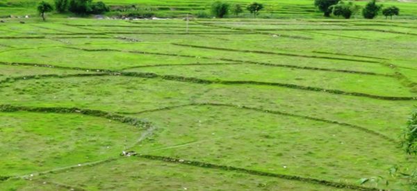 जमिनको कित्ताकाट नहुँदा राजस्वमा असर