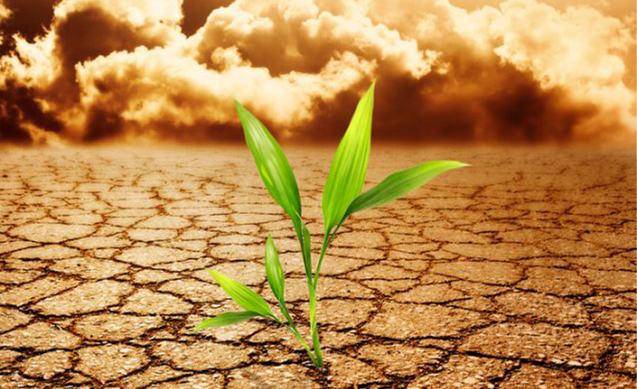 जलवायु परिवर्तनको असर कृषिमा, उत्पादन घट्दो