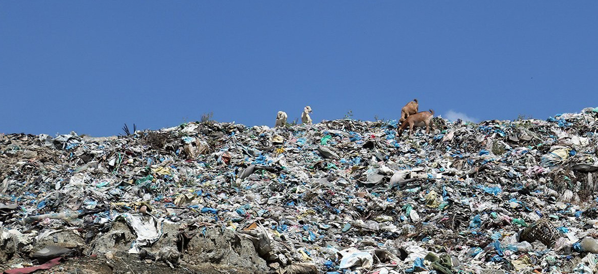 ल्याण्डफिलमा खसालियो १५० ट्रक फोहोर