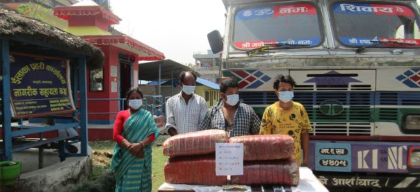 ४२ किलो गाँजासहित मनहरीबाट चार जना पक्राउ