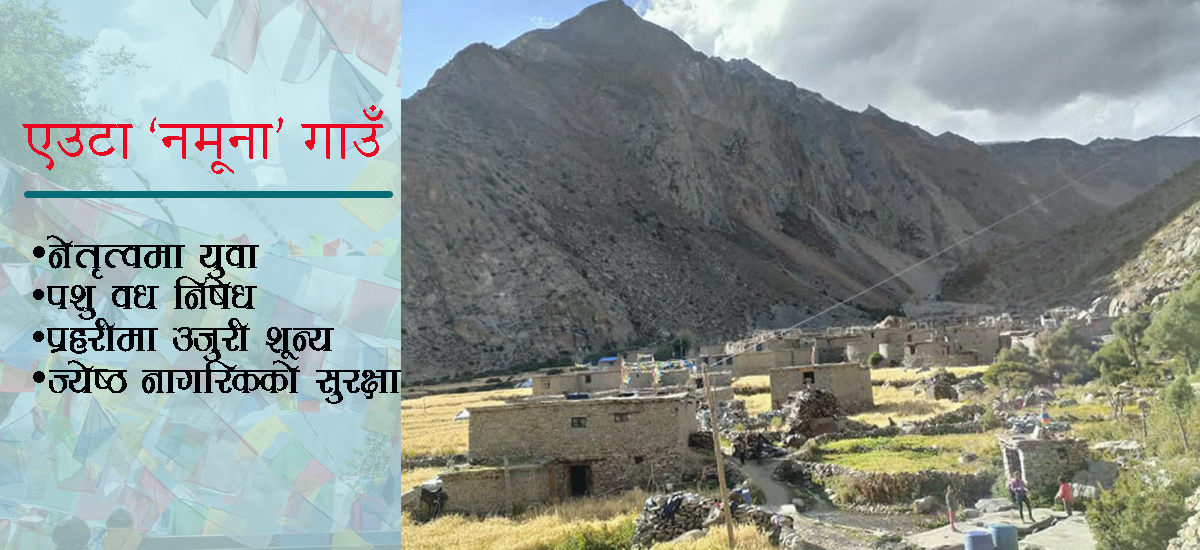 लिमी गाउँ : निर्वाचन नहुँदै जनप्रतिनिधि विजयी घोषित