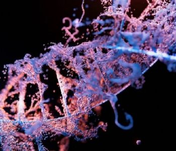 आनुवंशिक विज्ञानमा महान् उपलब्धिः तयार भयो मानव जिनोमको पूर्ण शृंखला