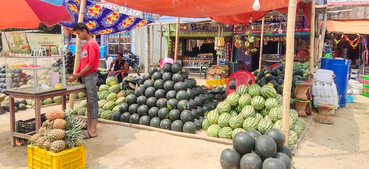 गर्मीसँगै बढ्‍यो तरबुजा व्यापार, ढल्केवरका किसानलाई भ्याइ-नभ्याई