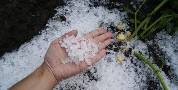 आज पनि पहाडी क्षेत्रमा असिना पानीको सम्भावना