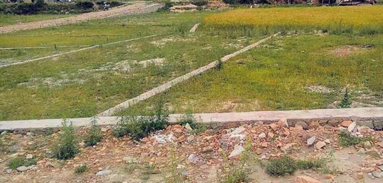 प्रहरी चौकी र वडा कार्यालयको जग्गा भूमाफियाका नाममा