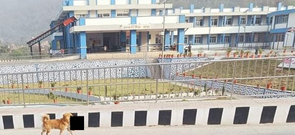 अस्पतालमा कुकुरले टोकेर डुलाएको शिशुको शवको पहिचान खुल्यो