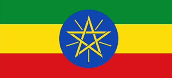 अपराधविरोधी अभियानलाई साथ दिएको आरोपमा इथियोपियामा पत्रकारहरू पक्राउ