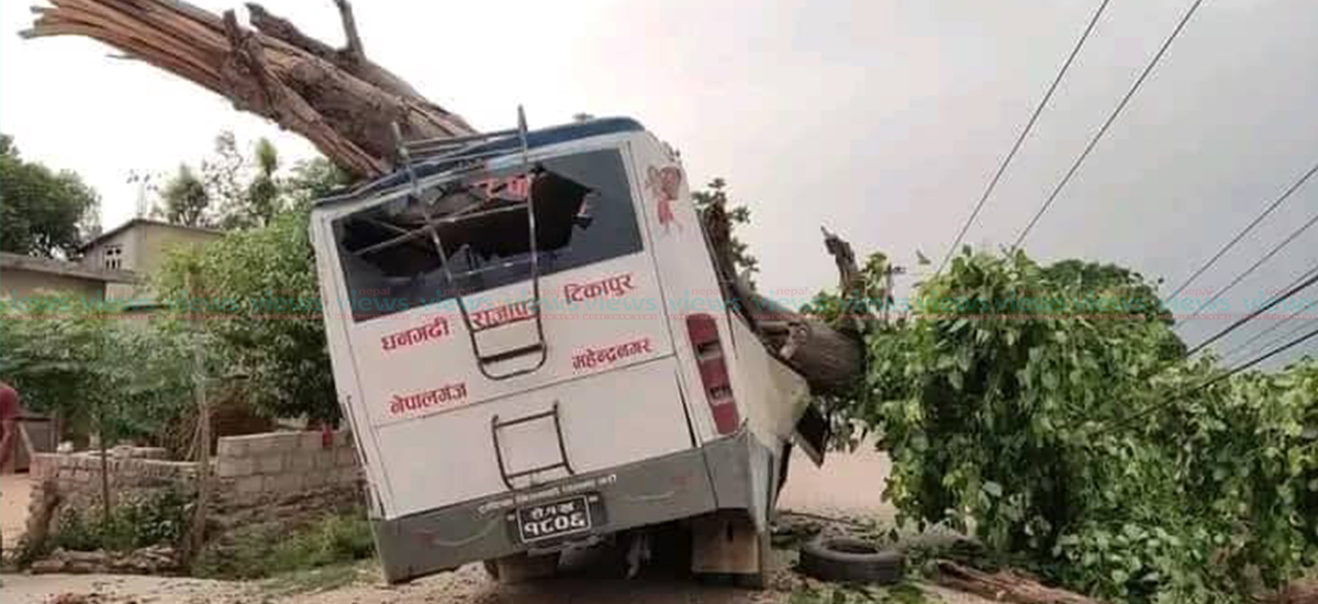 कैलालीमा गुडिरहेको बसमाथि रूख ढल्यो, ५ जना घाइते