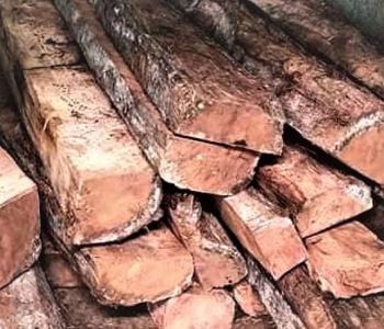 वार्षिक तीन करोड घनफिट काठ आपूर्ति कसरी सम्भव हुन्छ ?