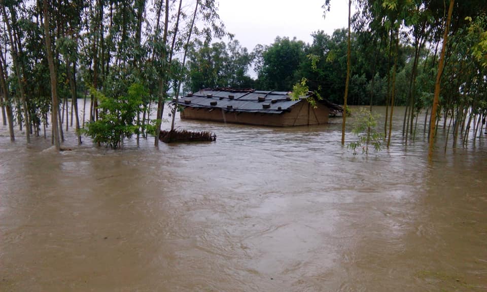 वर्षाले भजनी र जोशीपुरका बस्ती डुबानमा