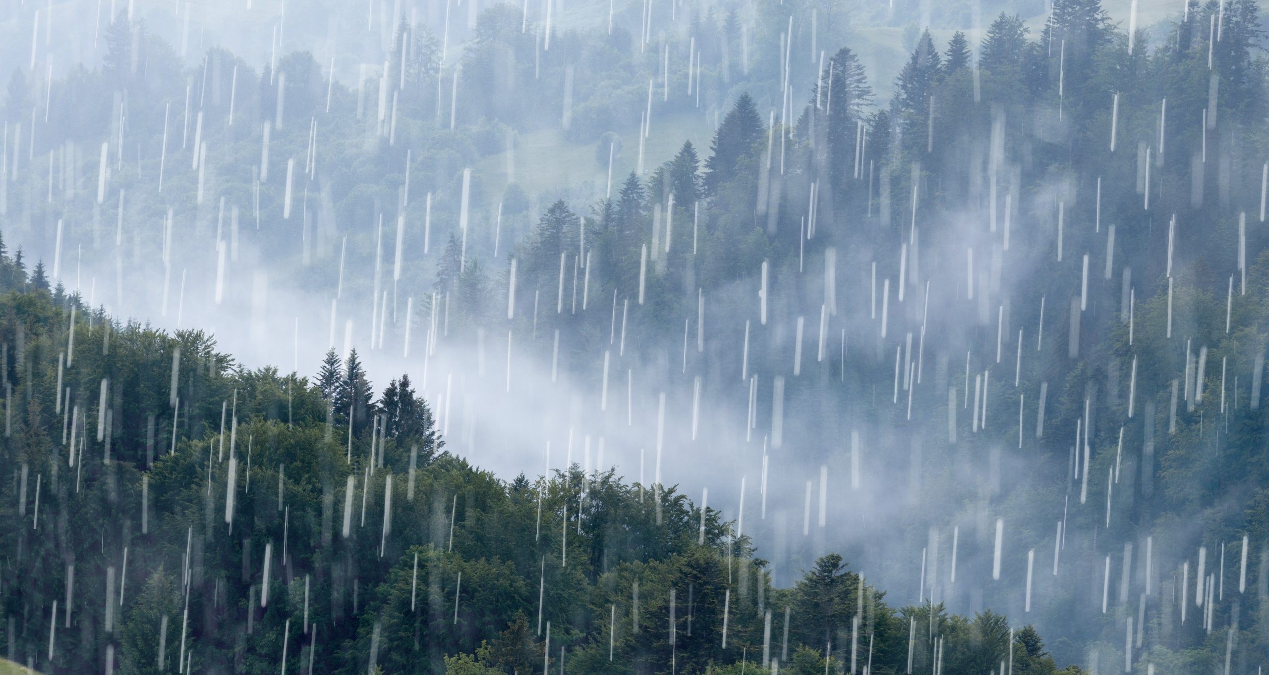 मनसुन प्रणाली देश भर फैलियो, अधिकांश भेगमा वर्षा