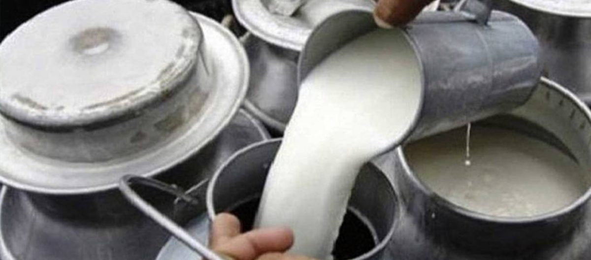 गोदाममा थन्कियो ७५ करोड मूल्य बराबरको दूध र घ्यू